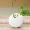 Fioriere Vasi Coreano Retro Idroponico Ceramica Bianco e nero Appeso a parete Carnoso Vaso da fiori Semplice Vaso da fiori Decorazioni per ufficio Giardinaggio Creativo R230620