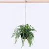 Decorative Flowers Fern Persia Plant Aerial Hanging Ball Artificial Green Grass Wedding Party Wall Balcony Decor