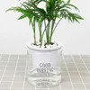 Jardinières Pots Auto-Arrosage Pot De Fleurs Absorption Automatique De L'eau Succulent Aquaculture Transparent Rond En Plastique Pot De Fleurs Hydroponique R230620