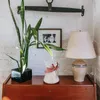 Vaseブリキのバケツ植木鉢コンテナサボテンズのための儀式のための庭の鉄の鉄レトロ装飾吊り下げ鍋
