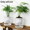 Planters krukor Självvattande blomkruka Automatisk vattenabsorption Succulent Aquaculture Transparent Round Plastic Hydroponic Flowerpot R230620