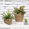 Planters POTS STRAW Weaving Flower Plant Pott Basket Grass Planter Basket Inomhus Utomhusblomma Täckbehållare för planterbar dekoration R230620