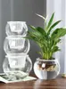 Planters Pots Creative Water Planting Bottle Plant Transparent Glass Vase Container Green Dill Flowerpot Fish Flower Co-Cultivation Pot R230620