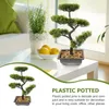Dekorativa blommor hylldekor liten falskt mini trädskrivbord stenar söta växter bonsai dekorationer abs prydnad