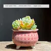 Planters Pots Ceramic Flowerpot Creative Draining Hole Meat Flower Pot Cat Claw Ceramics Bonsai Flowerpot High Quality Flower Decorative R230620