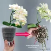 Planters POTS ROOT CONTROL TRANSPARENT FLOWER POT ORCHID GROGNY PLANTEROSY Flowerpots With Tray Home Decoration 15cm/12cm/10cm R230620
