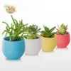 Jardinières Pots Oeuf Forme Plante Pot En Plastique Drainage Trou Pot De Fleurs Bureau À Domicile Jardin Décor R230620