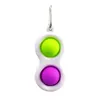 Rainbow Keychain Panents Pop It Fidget Oyuncak Duyusal Push Bubble Otizm Özel İhtiyaçlar Anksiyete Stres Rahatlatıcı Ofis Floresen Stoku X100 PCS