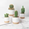 Plantenbakken Potten Succulente Plantenbak Imitatie Plastic Bloempot Cilinder Bloempotten voor Cactus met Drainagegat Potten Plant