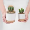 Planters POTS 2023 Succulent Planter Imitation Plastic Flower Pot Cylinder Flower Potts For Cactus With Drainage Hole Pots Plant R230620