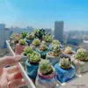 Planters Pots 10pc Mini Succulent Flower Pot Ceramic Breathable Thumb Flowers Pot Lithops Flowerpot Home Mini Bonsai Potted Planting Plants R230620