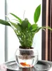 Planters Pots Creative Water Planting Bottle Plant Transparent Glass Vase Container Green Dill Flowerpot Fish Flower Co-Cultivation Pot R230620