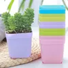 Planters POTS 10st Flower Pot Colorful Plastic Plant Pot Seeds Nursery Box Transplant Flower Tray for Home Garden Succulate Flower Pot R230620