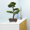 Dekorativa blommor hylldekor liten falskt mini trädskrivbord stenar söta växter bonsai dekorationer abs prydnad