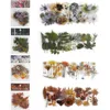 Gift Wrap 160Pcs Transparent Botanical Stickers Plants And Nature Flowers Decals For Scrapbooking Journaling Planner Card Making Craft