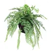 Decorative Flowers Fern Persia Plant Aerial Hanging Ball Artificial Green Grass Wedding Party Wall Balcony Decor