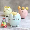 Planters Pots Succulent Plant Pot with Hole Cute Animal Flower Planter Flowerpot Lovely Little Cat Home Garden Decor Bonsai Pots Birthday Gift R230620