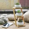 Planters Pots Small Round White Ceramic Succulent Plant Pot Cactus Planter for Succulent Plants with Bamboo Tray for Room Decoration