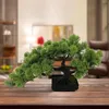 Flores decorativas pequenas plantas artificiais em vasos de simulação de bonsai para decoração de escritório no peitoril da janela