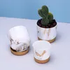 Planters POTS 3sts Succulent Plant Pot Double-Layer Succulen