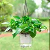 Planters Pots Hanging Flowerpot Self Absorbing Water Planter Plastic Green Plants Hydroponic Plant Vases Flower Pot Home Green Wall Decor