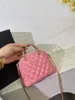 Fashion Shoulder Bag Designer Classic Luxury Chain Plaid Brand Wallet Vintage Women Leather Handheld