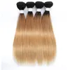 Brazilian Peruvian Indian 100% Human Hair Extensions Double Wefts 1B/27 Ombre Color Silky Straight Body Wave 10-32inch 4 Bundles