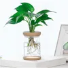 Planters Pots Durable Transparent Hydroponic Flower Pot Imitation Glass Soilless Planting Small Potted Green Plant Resin Flower Pot R230620