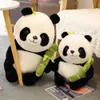Travesseiros de pelúcia Almofadas Requintadas Olhos cheios Recheado Panda Mascote Travesseiro Decoração Lembrança Presente Panda Brinquedo de Pelúcia Panda Brinquedo R230620