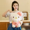 Wholesale pocket cat plush toys Sofa Throw pillows birthday gifts Company activities Prize room decor