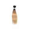 Brasiliansk peruansk indisk 100% mänskliga hårförlängningar dubbla inslag 1b/27 ombre färg silkeslen rak kroppsvåg 10-32 tum 4 buntar