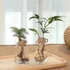 プランターポット透明な植木鉢水耕栽培グリーンディルプラスチック製フラワーポットシンプルフラワーポットR230620