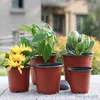 Çiziciler Potlar 50/20 PCS Plastik Sak kabı Fideleri yetiştirir Flowerpots Kök Büyüyen Kutu Konteyner Konteyneri Ev Bahçe Malzemeleri R230620