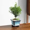 Planters Pots Ceramic Flowerpot Tianmu Glaze Blue Bonsai Pot Only Vase without Plant Breathable Container for Office Balcony Garden Home Decor R230620