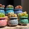 Planters Pots Ceramic Flowerpot Creative Draining Hole Meat Flower Pot Cat Claw Ceramics Bonsai Flowerpot High Quality Flower Decorative