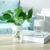 Fioriere Vasi Acqua Piantare Vaso di fiori Succulente Vaso di fiori Vaso di fiori idroponico trasparente Contenitore Decorazione della casa R230621