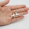 Dangle Earrings Cute Cartoon Funny Siberian Husky & Alaskan Malamute Akita Dog Charms Drop Tiny Pet For Women Jewelry