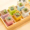 Planters Pots Random Color Mini Square Plastic Plant Flower Pot With Trays Home Office Decor Planter Plastic Green Plant Pots R230621