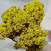 Flores decorativas 50g Natural Millet Fruit Dry Flower Home Decor Items With Bried Decoration Gift For Girlfriend Nupcial Wedding