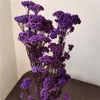 装飾的な花50g天然キビのフルーツドライリビングルーム装飾誕生日屋外人工植物ウェディングギフトのための贈り物