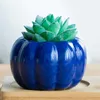 Planters POTS Creative Pumpkin Flowerpot Meat Basin Ice Crack Color Ceramic Flower Basin Home Gardening Decoration Green Thumb Basin Pots R230621