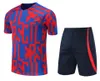 2023 Barcelona TRACKSUITS Adulto Fato de treino de manga curta Sweatshirt 23/24 Novos fatos de treino HOMEM Camisa de futebol barca CONJUNTO TRAINING SUIT AUBA PEDRI GAVI chandal futbol