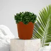 Plantenbakken Potten Siliconen Bloempot Afvoer Gat Ontwerp Heldere Kleur Geen Geur Indoor Outdoor Succulent Planter Plant Container Thuis R230621