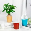 Vasos para plantadores Vaso de flores engrossado Auto-absorção Prevenir o nó do solo Resistência à corrosão Copo de cor Planta Vaso de flores Acessórios de jardim R230621