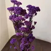 Decorative Flowers 50g Natural Millet Fruit Dried Flower Wedding Centerpiece High Quality Artificial Bridal Bouquet Pa