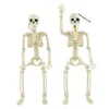 New 40cm Halloween Skeleton Movable Human Skull Bones Halloween Party Decoration for Home Bar Haunted Hanging House Horror Props