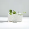 Doniczki proste białe ceramiczne soczyste kwiat Kreatywne domowe dekoracje pulpitu zielone doniczki z kwiatami ananasa nowoczesne ozdoby r230621