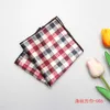 Einstecktuch 10 Teile/los Plaid Einstecktuch für Männer Anzug Hank Red Paisley Baumwolle Taschentücher Blau Druck Taschentücher Hochzeit Zubehör B196 230620