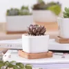 Planters Pots Geometic White Ceramic Square Bonsai Planter Little Succulent Flowerpots Moderna små kaktusvaser Bambu Tray Office Decor R230620