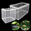 Aquariums blessés poissons élevage incubateur filet suspendu écloserie boîte d'isolement pour aquarium accessoire fournitures séparées SL 230620